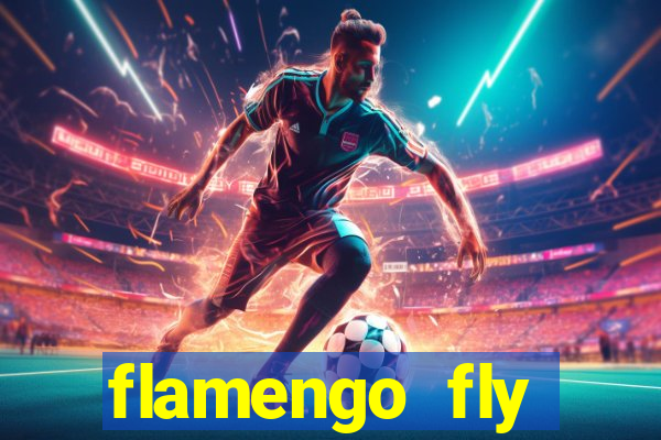 flamengo fly emirates ultimas noticias